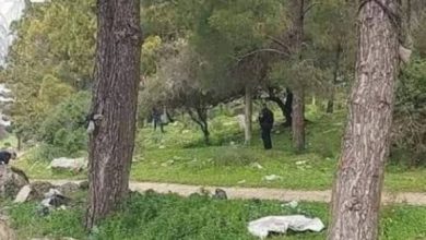 Photo of العثور على جثة شاب تحمل علامات عنف في أحراش شفاعمرو