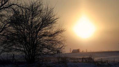 Photo of طقس مستقر نسبيًا مع ارتفاع تدريجي على درجات الحرارة