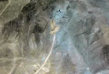 Photo of عراقجي: قنابل غير منفجرة ما تزال في منشآت نووية استهدفتها واشنطن