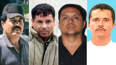 Photo of سقوط القلاع.. كيف تهاوى أباطرة الكارتيلات في المكسيك؟ (شاهد)