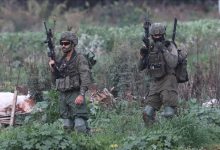 Photo of الاحتلال يقتلع 200 شجرة عنب معمرة جنوبي الضفة الغربية