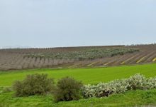 Photo of حالة الطقس: أجواء باردة