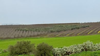 Photo of حالة الطقس: أجواء باردة