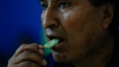 Photo of اختفاء موراليس حليف مادورو يُقلق أنصاره في بوليفيا