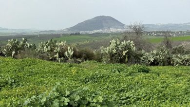 Photo of حالة الطقس: انخفاض ملموس في درجات الحرارة