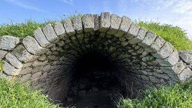 Photo of حالة الطقس: غائم جزئيا إلى صاف