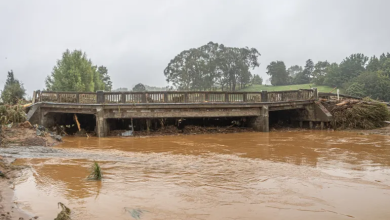 Photo of عاصفة عاتية تربك الحياة في نيوزيلندا