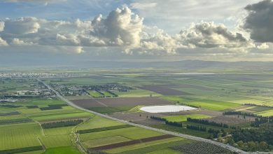 Photo of حالة الطقس: أجواء باردة وماطرة