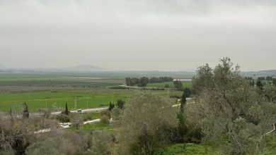 Photo of حالة الطقس: غائم جزئيا وبارد