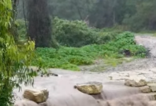 Photo of حالة الطقس: أجواء باردة ومغبرة