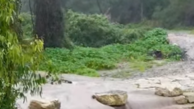 Photo of حالة الطقس: أجواء باردة ومغبرة