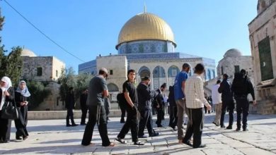 Photo of عشرات المستوطنين يقتحمون الأقصى تحت حماية الاحتلال وتصعيد في قرارات الإبعاد والاستدعاءات