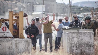 Photo of تصاعد إرهاب المستوطنين في الضفة: “شبيبة التلال” تتبنى عشرات الهجمات وتقارير توثق دعمًا رسميًا للبؤر الاستيطانية