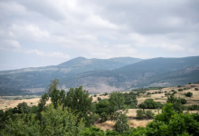 Photo of أجواء دافئة السبت وانخفاض ملموس على الحرارة الأحد وأمطار متفرقة مطلع الأسبوع