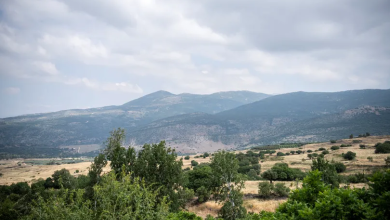 Photo of أجواء دافئة السبت وانخفاض ملموس على الحرارة الأحد وأمطار متفرقة مطلع الأسبوع