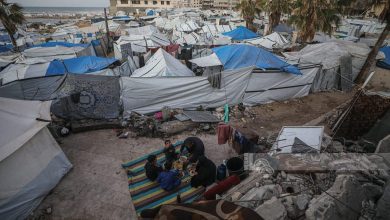 Photo of انتشار البراغيث في خيام المواصي بخان يونس يفاقم معاناة النازحين ويهدد صحتهم