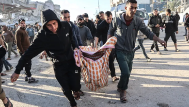 Photo of 7 شهداء بغزة خلال 24 ساعة واستمرار المعاناة جراء إغلاق معبر رفح (شاهد)