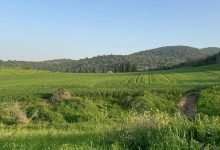 Photo of حالة الطقس: غائم جزئيا إلى صاف