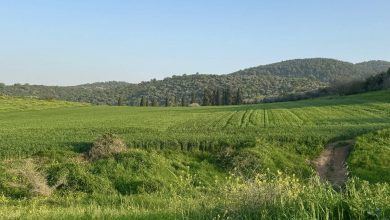 Photo of حالة الطقس: غائم جزئيا إلى صاف