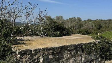 Photo of حالة الطقس: ارتفاع ملموس في درجات الحرارة