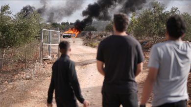 Photo of الزراعة الفلسطينية: خسائر بأكثر من مليون دولار إثر اعتداءات إسرائيل بالضفة