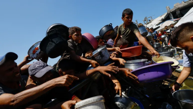 Photo of غزة تواجه شبح المجاعة قبل العيد.. رفوف فارغة وأسعار جنونية (تغريدات)