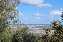 Photo of حالة الطقس: غائم جزئيا إلى صاف