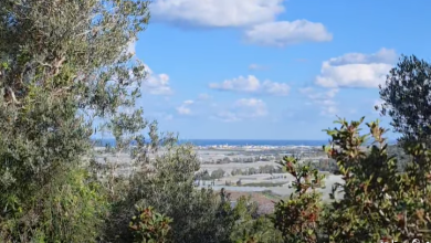 Photo of حالة الطقس: غائم جزئيا إلى صاف