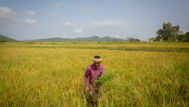 Photo of ارتفاع أسعار الأسمدة جراء حرب إيران.. 4 دول مستفيدة وأخرى متضررة