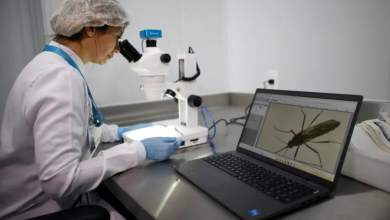 Photo of خطر صحي قادم يهدد حياة عشرات الملايين.. فهل العالم مستعد؟