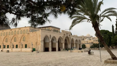 Photo of تنديد عربي وإسلامي وأوروبي بقيود الاحتلال على حرية العبادة بالقدس (شاهد)