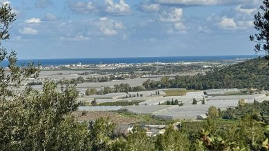 Photo of حالة الطقس: ارتفاع طفيف في درجات الحرارة