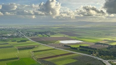 Photo of حالة الطقس: منخفض جوي يؤثر على البلاد حتى نهاية الأسبوع