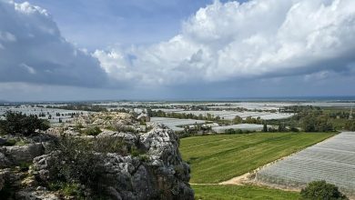 Photo of جالة الطقس: غائم جزئيًا إلى غائم