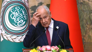 Photo of أبو الغيط يندد بتهور إيران ومهاجمتها دولا عربية