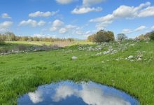 Photo of حالة الطقس: ارتفاع في درجات الحرارة وتوقع أجواء مغبرة