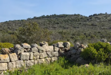 Photo of حالة الطقس: أجواء صافية