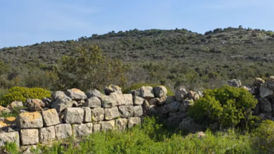 Photo of حالة الطقس: أجواء صافية