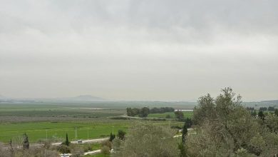 Photo of حالة الطقس: ارتفاع آخر في درجات الحرارة