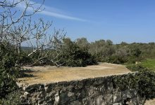 Photo of حالة الطقس: ارتفاع في درجات الحرارة