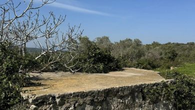 Photo of حالة الطقس: ارتفاع في درجات الحرارة