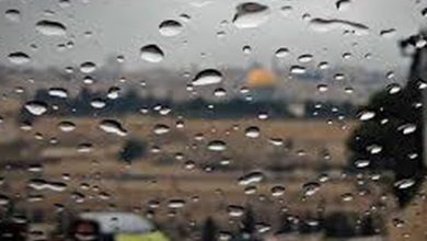 Photo of أجواء عاصفة وأمطار غزيرة الخميس.. وارتفاع تدريجي على الحرارة حتى الأحد