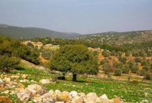 Photo of طقس متقلب حتى الأحد وارتفاع الحرارة مع بداية الأسبوع