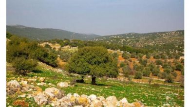 Photo of طقس متقلب حتى الأحد وارتفاع الحرارة مع بداية الأسبوع