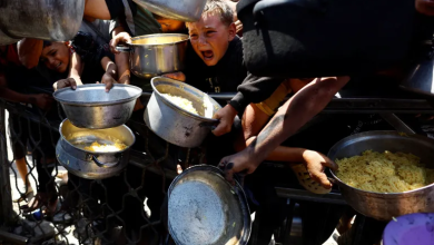 Photo of جدعون ليفي: يجوز القول إن الصهيونية فشلت والسبب إسرائيل نفسها