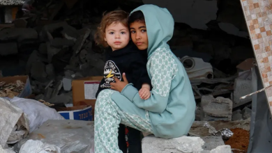 Photo of القتل والجوع والمرض.. حصاد أطفال غزة في يوم الطفل الفلسطيني