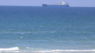 Photo of حالة الطقس: غائم جزئيا وبارد نسبيا