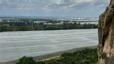 Photo of حالة الطقس: انخفاض طفيف في درجات الحرارة