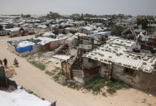 Photo of مع اشتداد القيظ.. القوارض والحشرات تُفاقم معاناة نازحي غزة (صور)