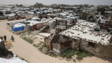 Photo of مع اشتداد القيظ.. القوارض والحشرات تُفاقم معاناة نازحي غزة (صور)